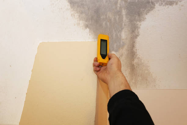 Best Indoor Air Quality Assessment  in Fort Pierce North, FL