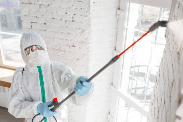 Best Mold Removal for HVAC Installations  in Fort Pierce North, FL