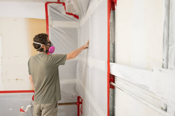 Professional Mold Removal in Fort Pierce North, FL