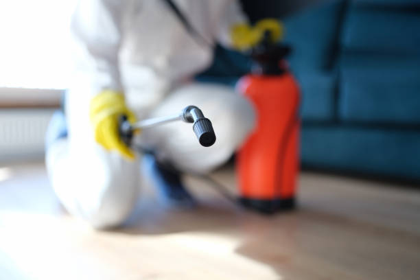 Best Residential Mold Inspection & Testing  in Fort Pierce North, FL