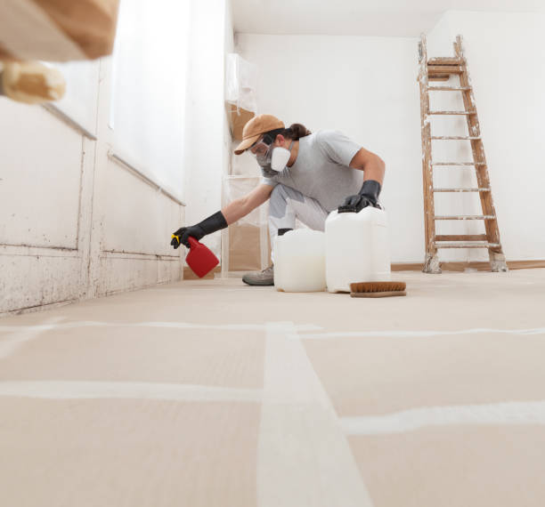 Mold Odor Removal Services in Fort Pierce North, FL