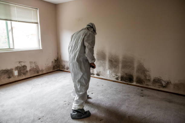Best Industrial Mold Remediation  in Fort Pierce North, FL